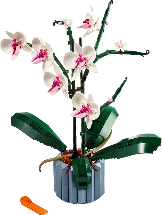 Orchid - 10311-WS - 3 PCS per Case