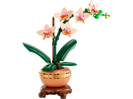 Mini Orchid - 10343-WS - 6 PCS per Case