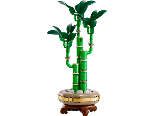 Lucky Bamboo - 10344-WS - 6 PCS per Case