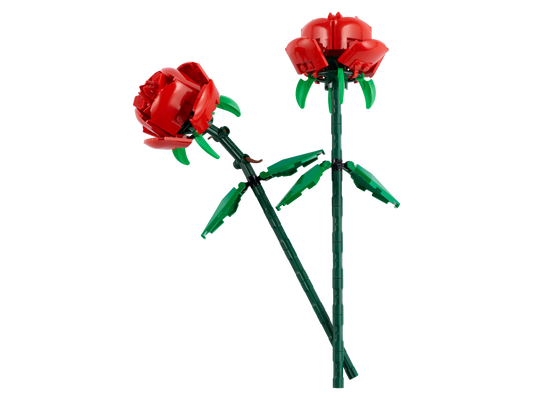 Roses - 40460-WS - 4 PCS per Case