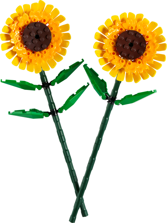 Sunflowers - 40524-WS - 4 PCS per Case