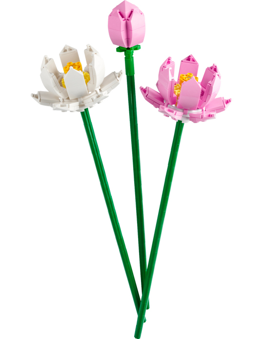 Lotus Flowers - 40647-WS - 4 PCS per Case