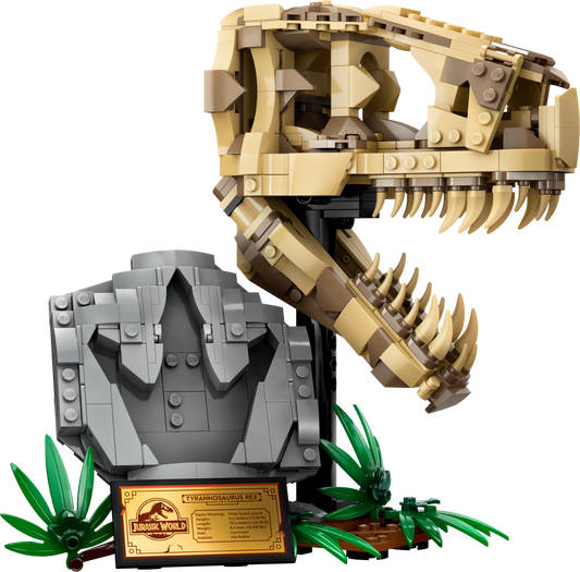 Dinosaur Fossils: T. rex Skull - 76964-WS - 4 PCS per Case